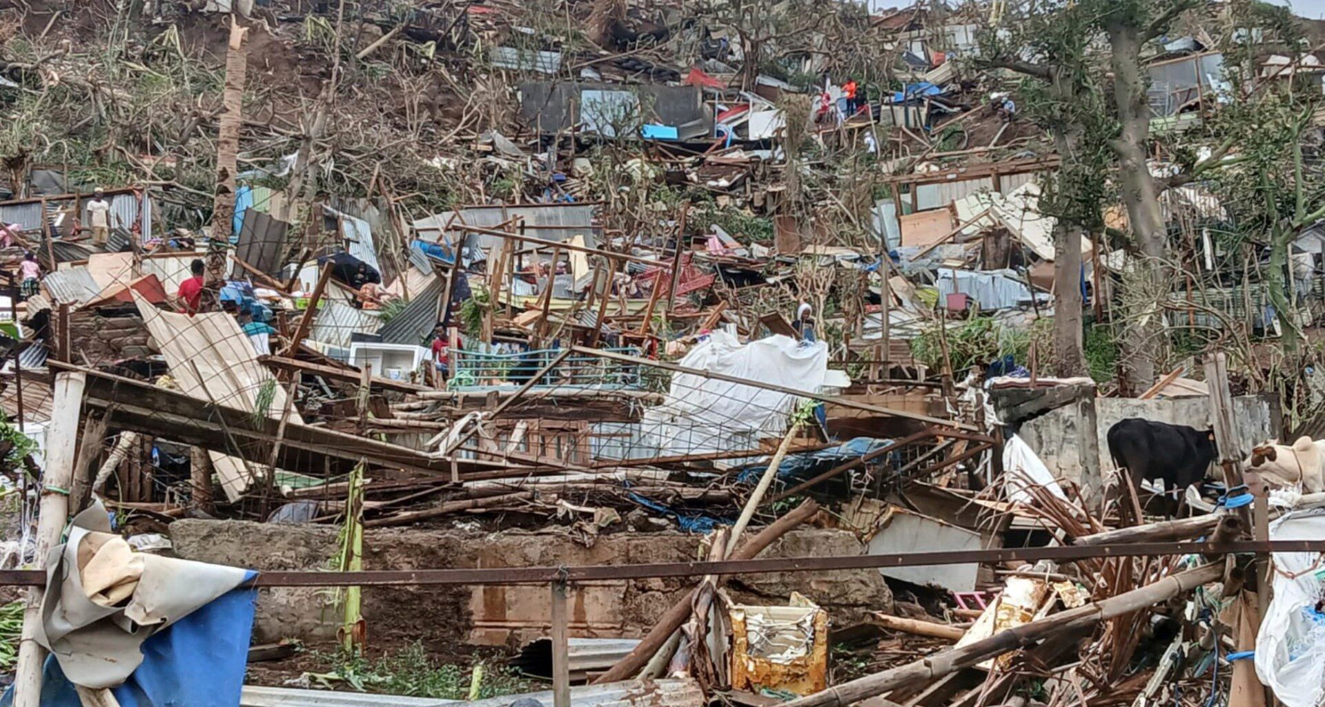 At least 11 killed after Cyclone Chido slams into France’s Mayotte | Climate Crisis News