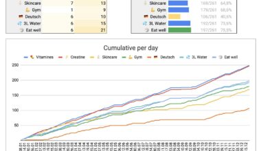 How I tracked my habits in 2024: A simple spreadsheet that helped me stay on track [OC]