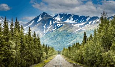 BOEM Alaska OCS Region Gets New Environmental Studies Chief