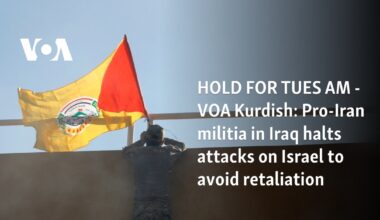 Pro-Iran militia in Iraq halts attacks on Israel to avoid retaliation