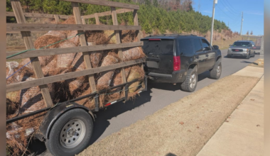 Hoover Police warn of pine straw business scam