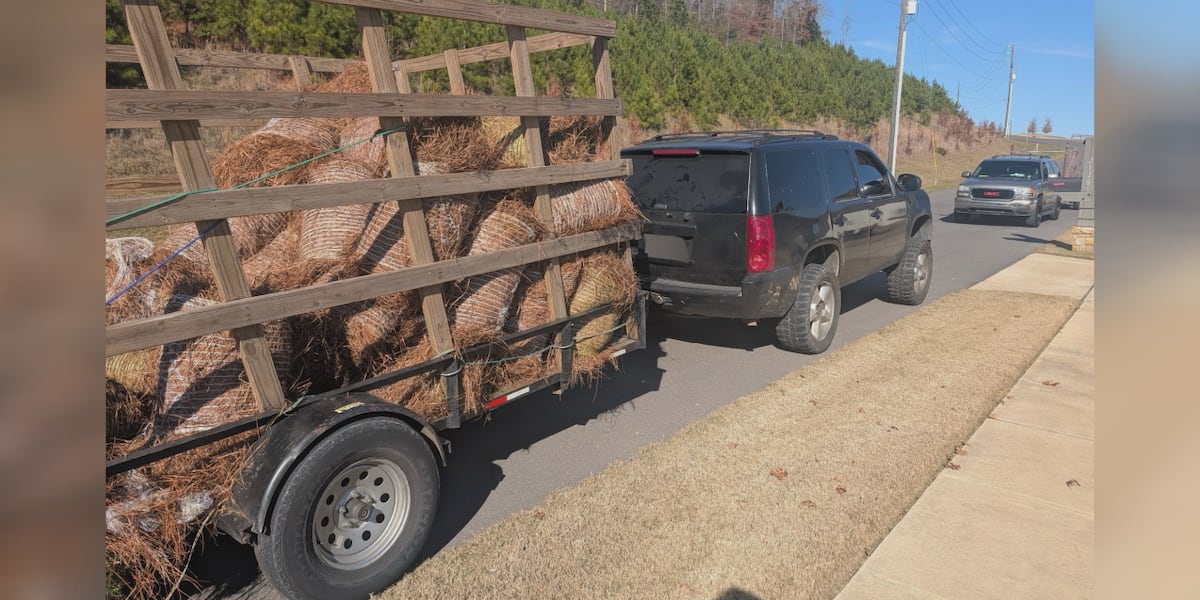 Hoover Police warn of pine straw business scam