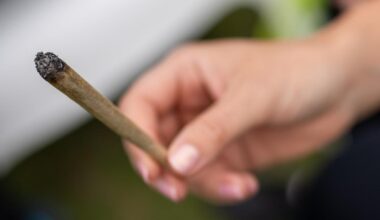 Kiffen in Deutschland: Ärztekammer fordert von nächster Bundesregierung, Cannabis-Legalisierung zurückzunehmen