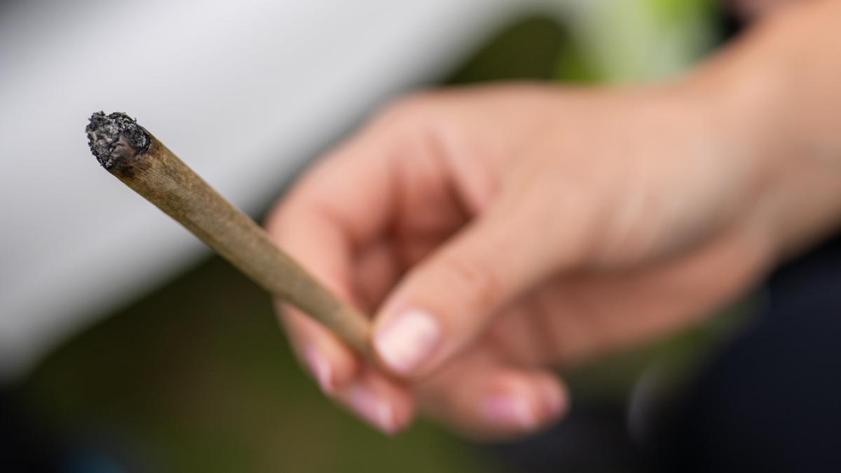 Kiffen in Deutschland: Ärztekammer fordert von nächster Bundesregierung, Cannabis-Legalisierung zurückzunehmen
