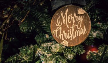 Christmas Travel Warning for Brits for Avoid United Kingdom Airport Security Pitfalls