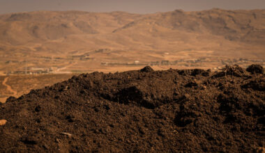 The organisations planning for Lebanon's environmental recovery