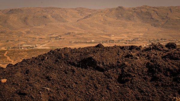The organisations planning for Lebanon's environmental recovery