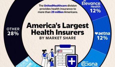 Ranked: The Biggest Health Insurance Giants in America