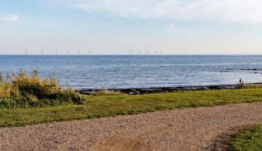 Denmark “Disappointed” as it Receives No Bids in New Offshore Wind Tender