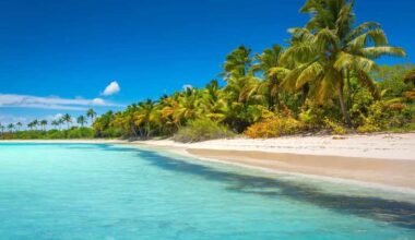 Germany, Poland, Switzerland, United States, Canada, Italy, Spain drive tourism surge in the Dominican Republic