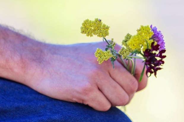 Solar Punk Farms cofounder Nick Schwanz holds Scabiosa and yarrow...