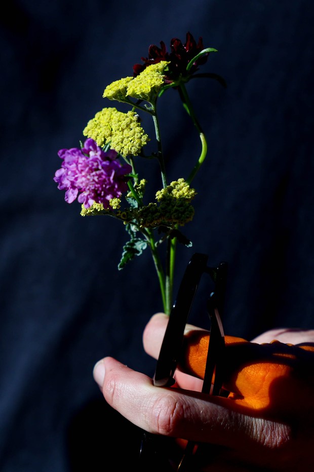 Solar Punk Farms cofounder Nick Schwanz holds Scabiosa and yarrow...
