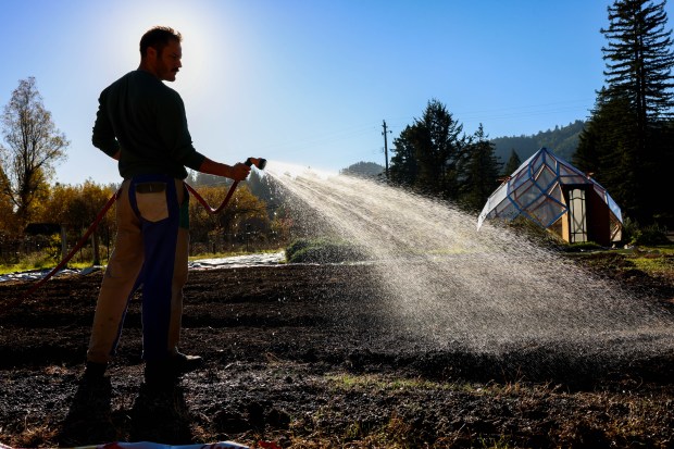 Solar Punk Farms cofounder Spencer Scott waters the soil after...