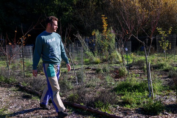 Solar Punk Farms cofounder Spencer Scott walks past peaches, nectarines,...