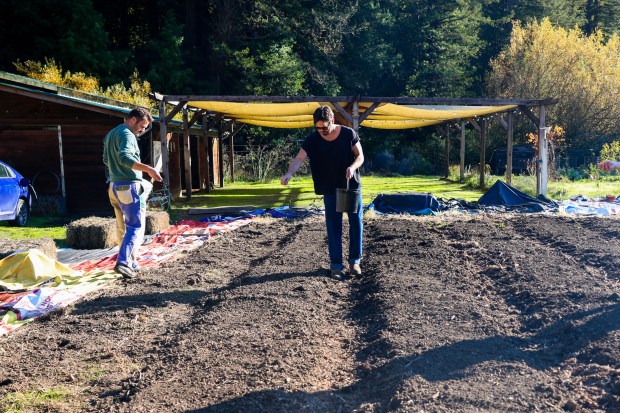 Solar Punk Farms cofounders Spencer Scott, left, and Nick Schwanz...