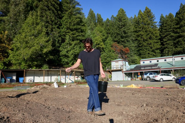 Solar Punk Farms cofounder Nick Schwanz plants faba bean, snowpea,...
