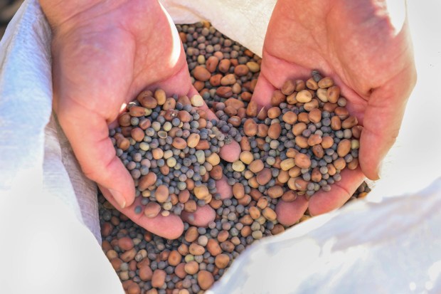 Solar Punk Farms cofounder Nick Schwanz is ready to plant...
