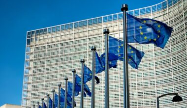 German Foreign Minister Pushes for Talks on Suspending Georgia's EU Accession Process