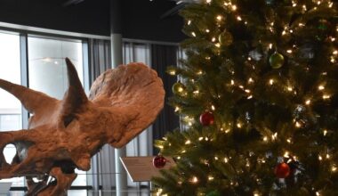 La. Art and Science Museum celebrates Christmas with special event