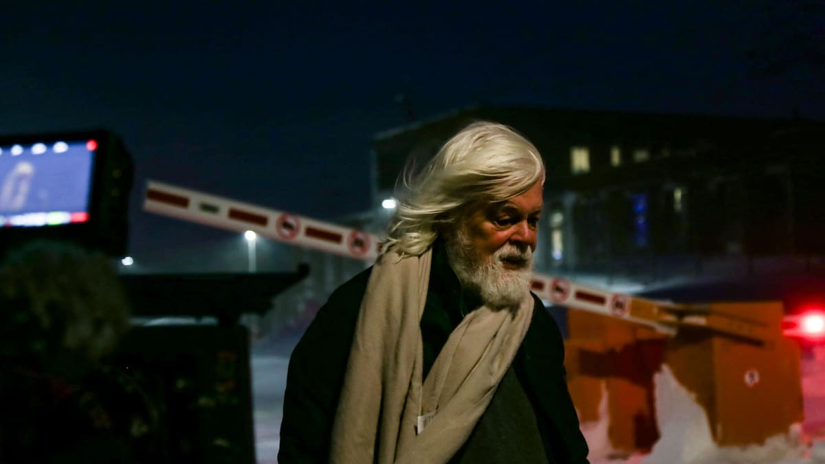 Whaling activist Paul Watson freed after Denmark rejects extradition