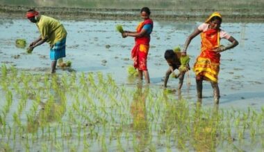 Economy News Today Live Updates on December 10, 2024: Why the increase in farm worker population is a worry