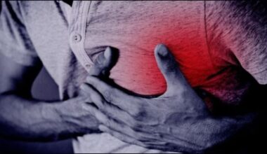 Cardiology meet in Lko: ‘Stress-sedentary lifestyle-environment triad targeting younger hearts’