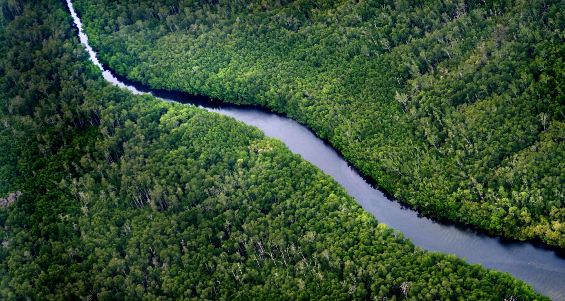 Indonesia and Norway launch US$60 million emission reduction partnership | Lobby