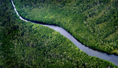 Indonesia and Norway launch US$60 million emission reduction partnership | Lobby