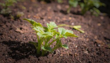 CropLife Portugal – A voz do setor sobre soluções de proteção das culturas