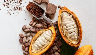 Chocolate Has a Sustainability Problem. Science Thinks It's Found the Answer