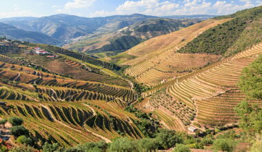 Wines of the Year 2024: Spain & Portugal