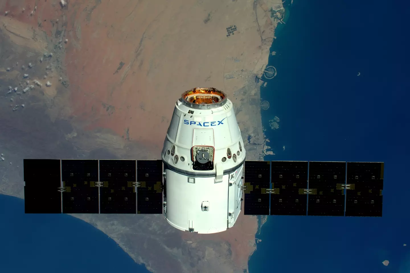 SpaceX's vehicle will be a more powerful version of their Dragon spacecraft, pictured (Tim Peake / ESA/NASA via Getty Images)