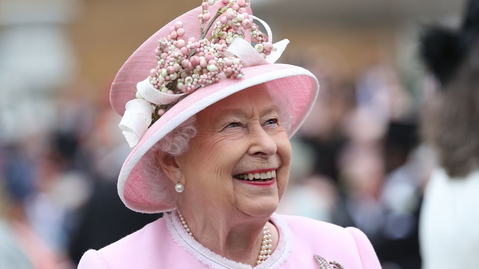 Queen Elizabeth II memorial could cost up to £46 million as search begins for design team
