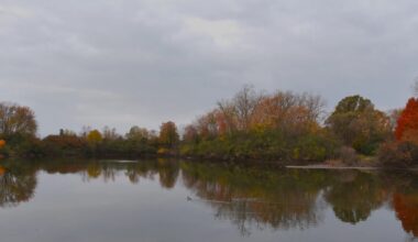 Under a portion of the state's environmental protection laws, the Michigan Department of Environment, Great Lakes, and Energy has been banned from updating rules to deal with certain kinds of water pollution. Bills to restore the agency's authority are before the lame duck session of the Legislature.