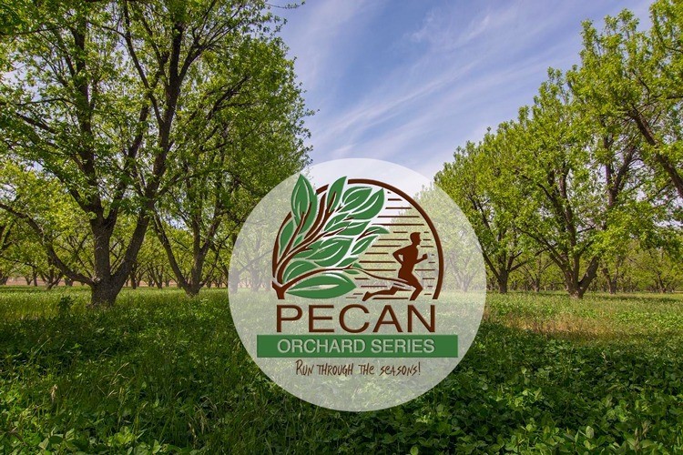 Final chance to get $4,400 checks from 'pecan' data breach settlement - only a bank statement is needed to get the cash