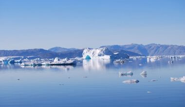 Denmark to invest 15 billion DKK in Greenland defense