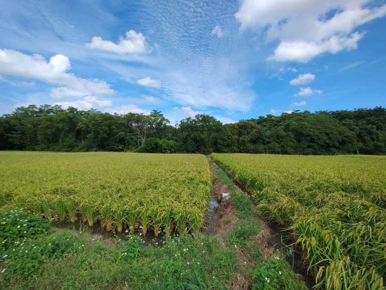 Hsinchu countryside
