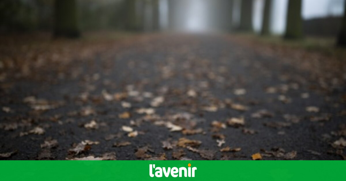 Météo ce dimanche en Belgique : un ciel gris avec de faibles pluies ou de la bruine