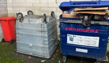 North London girl, 5, is fined £1k for 'fly-tipping' as council bombards her with court threats