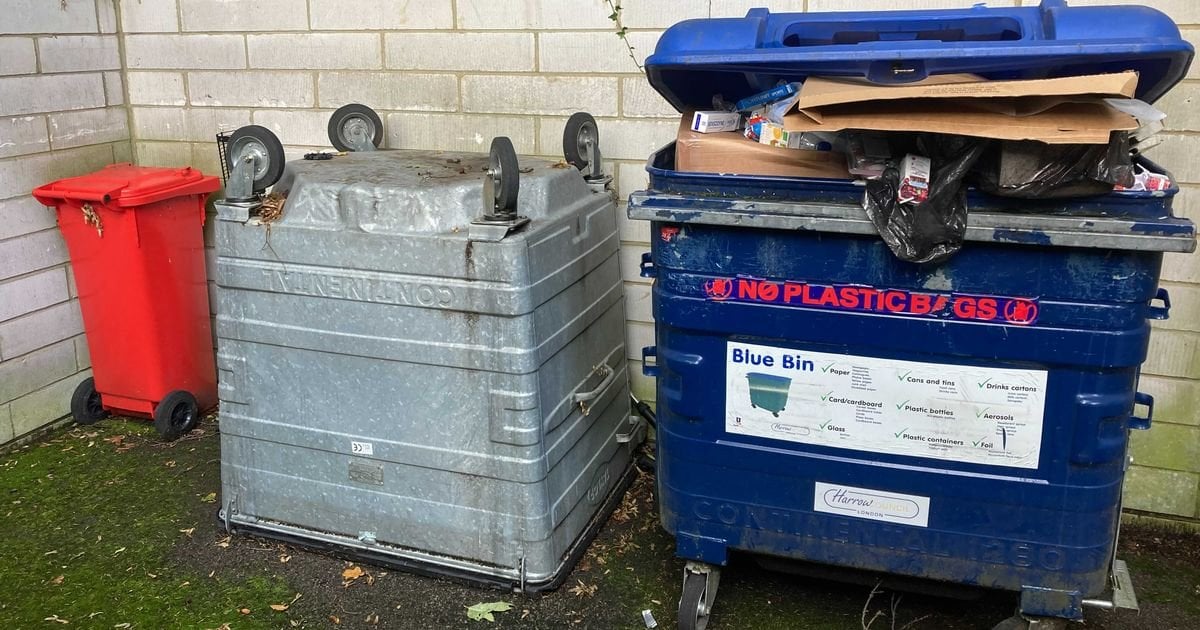 North London girl, 5, is fined £1k for 'fly-tipping' as council bombards her with court threats