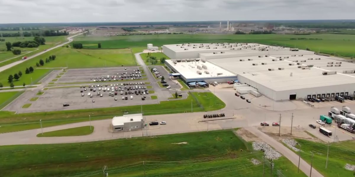 Memphis Mayor celebrates xAI expansion while environmental activists express concern about unknown power demands