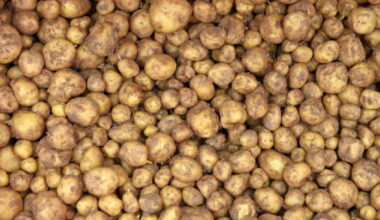 Latvian NBS official accused of abuse of office and fraud in food procurement procedure