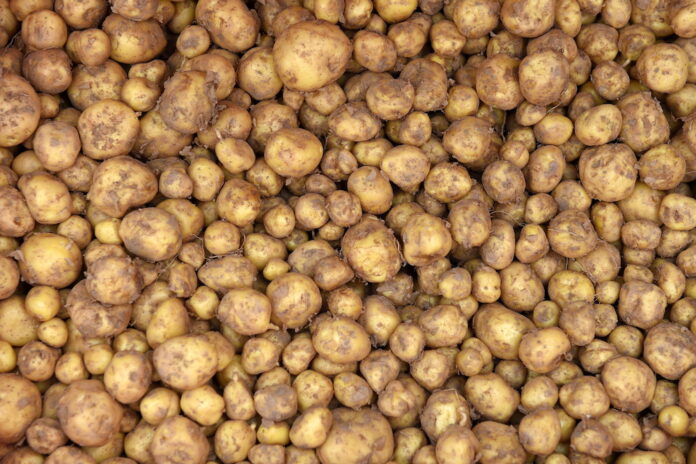 Latvian NBS official accused of abuse of office and fraud in food procurement procedure