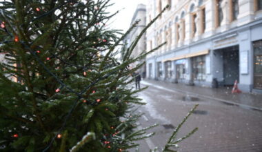 Christmas without snow: what to expect from Latvian weather this weekend and next week?