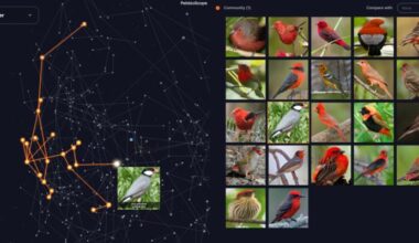 Pebblous pioneers trends of data quality visualization with