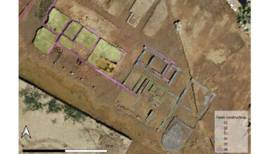 Archaeologists discover Roman era winery in Spain