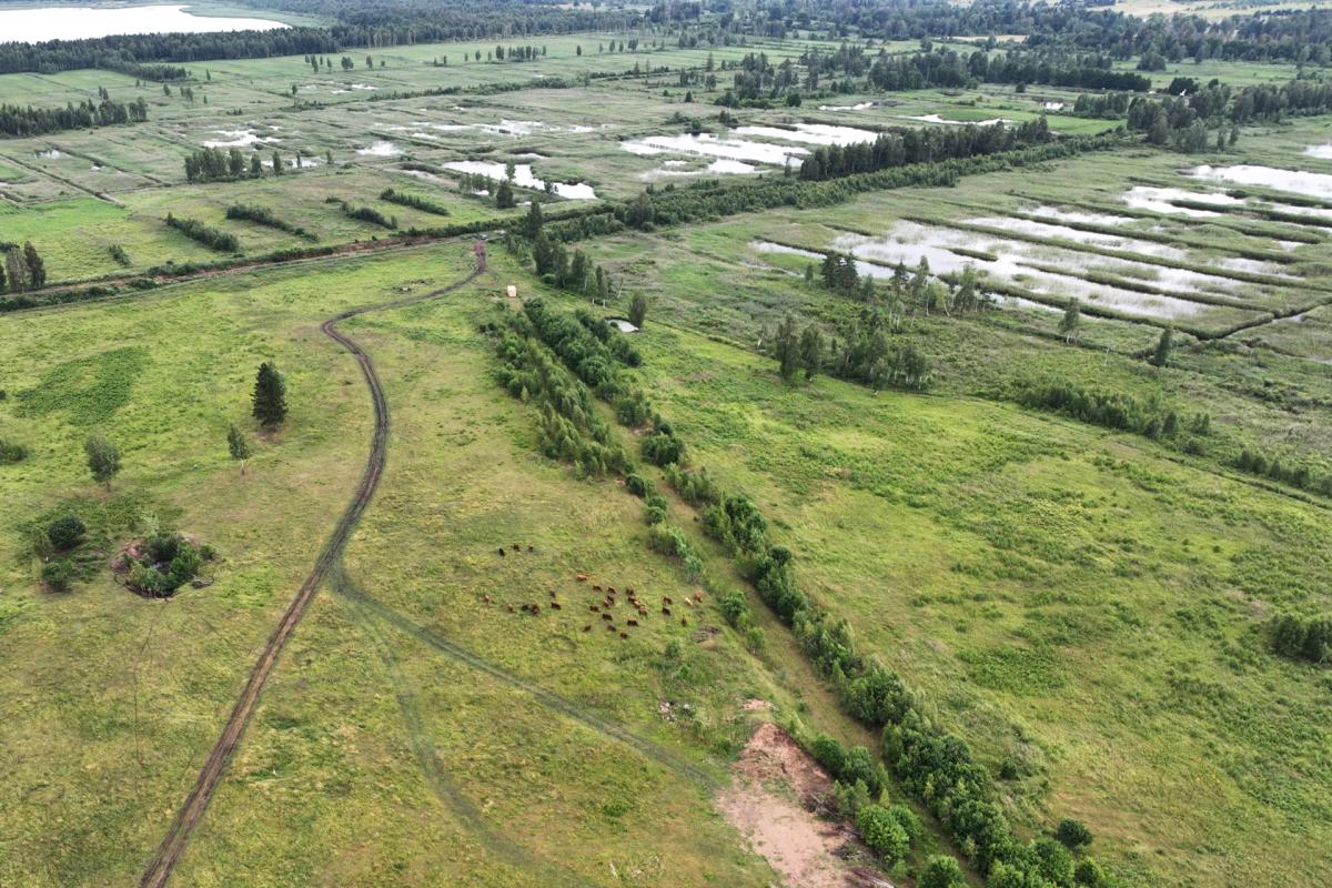 Wetland restoration in Latvia and Lithuania