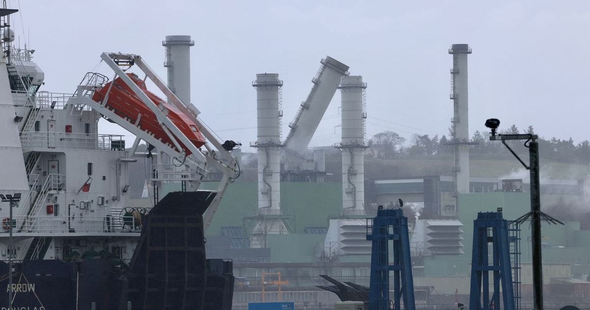 Electricity production suspended at Ballylumford after plant damaged by Storm