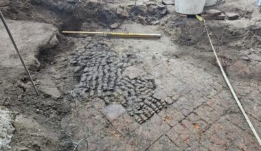 The bone floor in a building on the Achterdam, Alkmaar center. Photo: Team Archaeology, municipality of Alkmaar