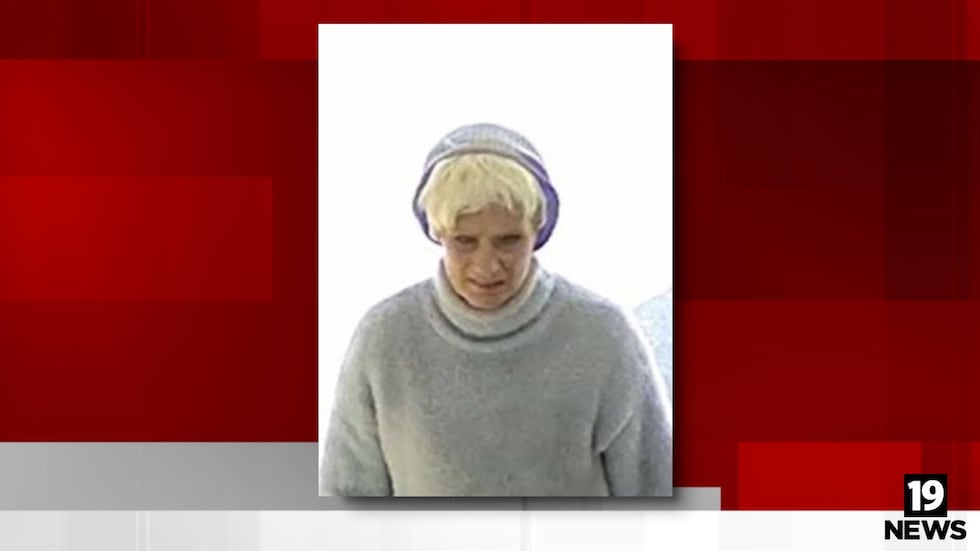 Alliance theft suspect